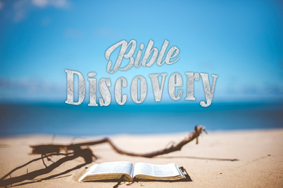 Bible Discovery