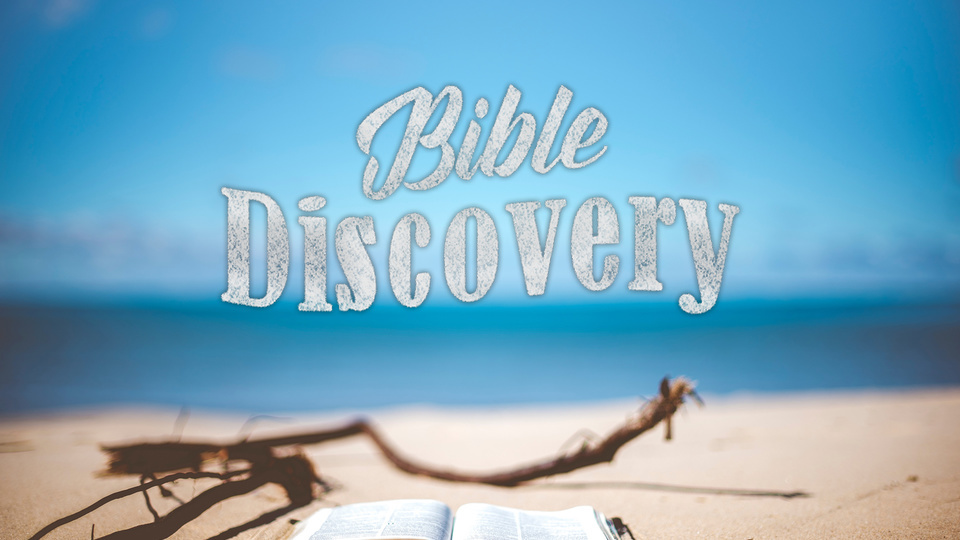 bible discovery download